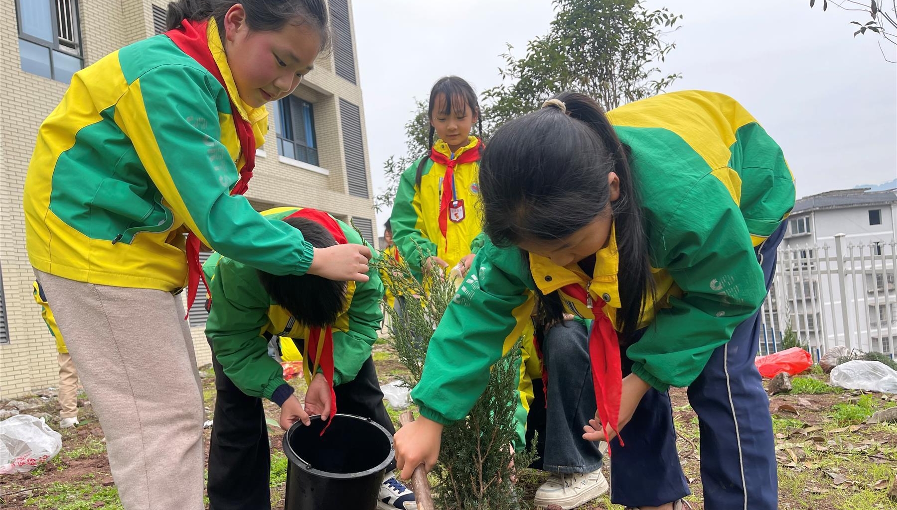  高陽小學開展植樹節(jié)實踐活動